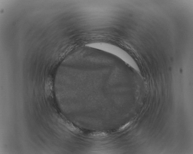 X0000076430322200610271740