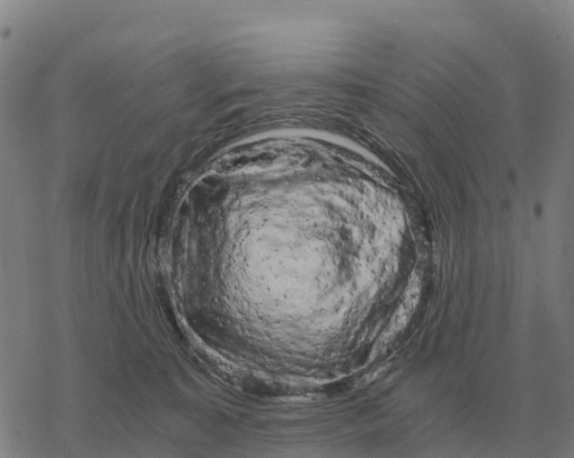 X0000076430323200610271740