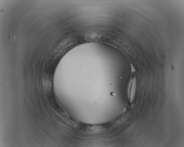 X0000076430324200610271740