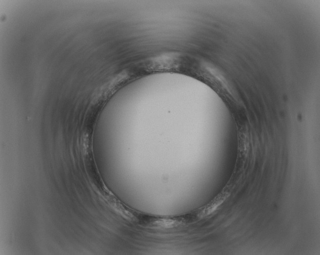 X0000076430326200610271739