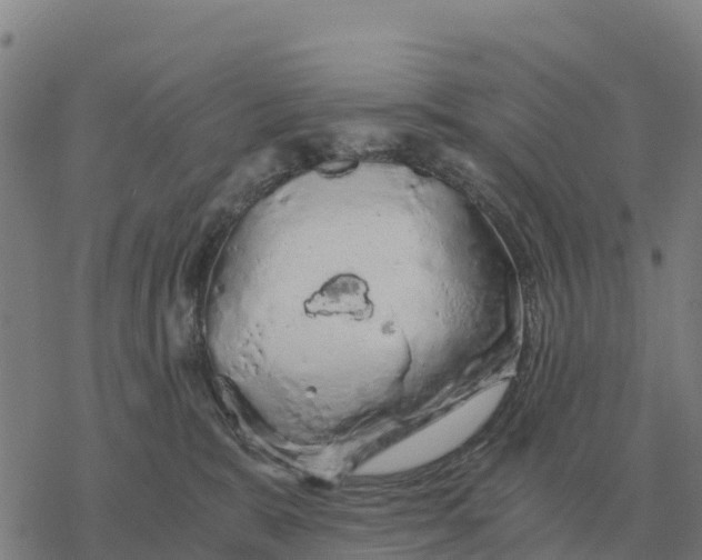 X0000076430327200610271739