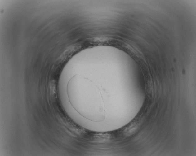 X0000076430328200610271739