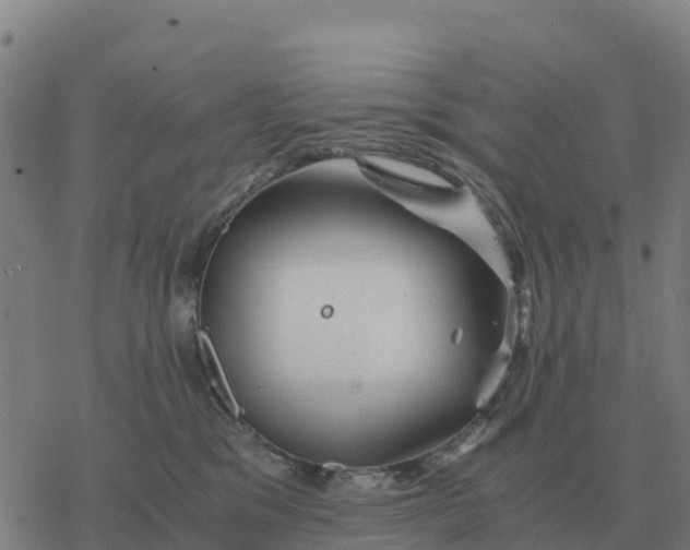 X0000076430329200610271739