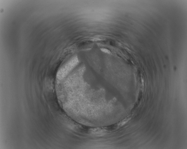 X0000076430331200610271739