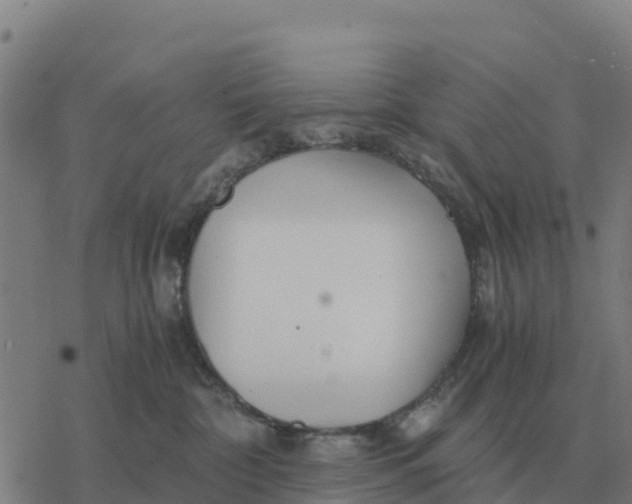 X0000076430332200610271739