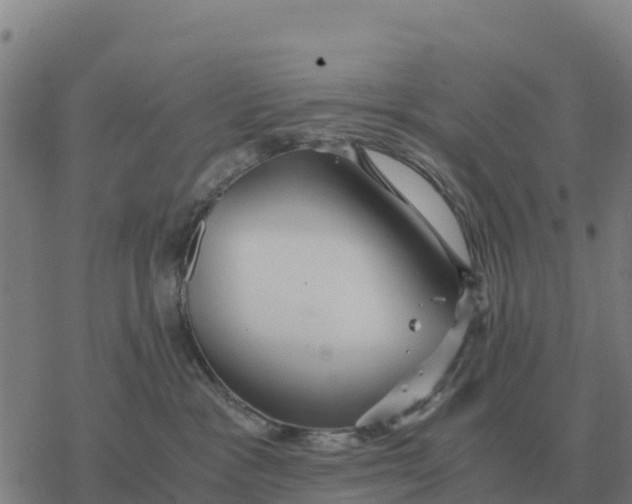 X0000076430333200610271739