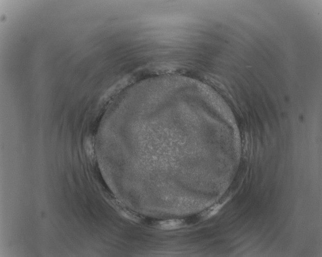 X0000076430335200610271739