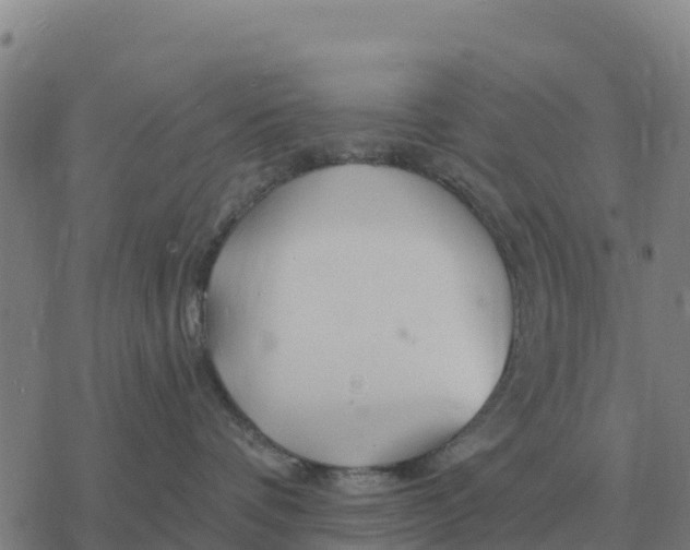 X0000076430336200610271739