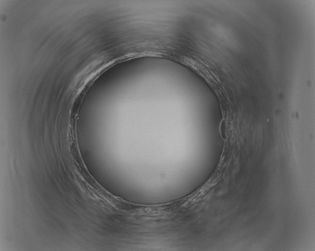 X0000076430338200610271739