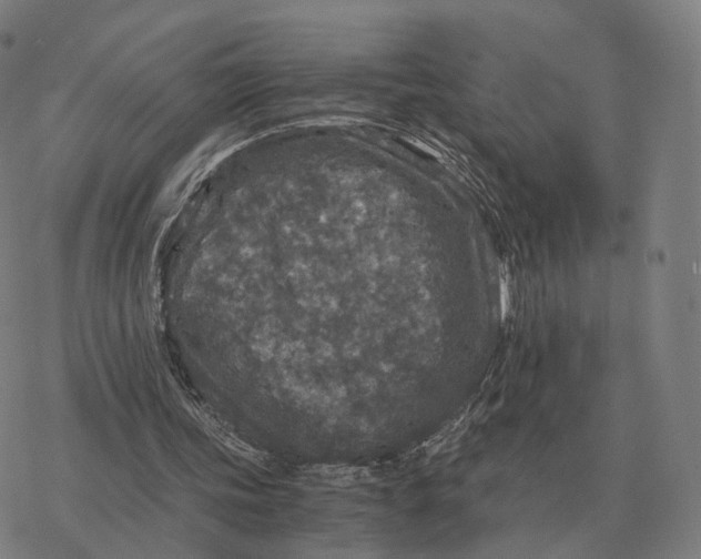 X0000076430339200610271739