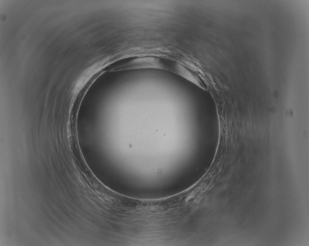 X0000076430340200610271739