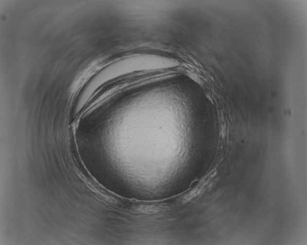 X0000076430341200610271739