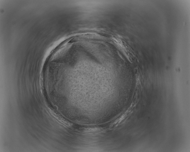 X0000076430342200610271739