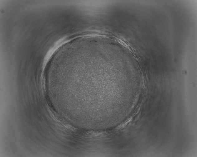 X0000076430343200610271739