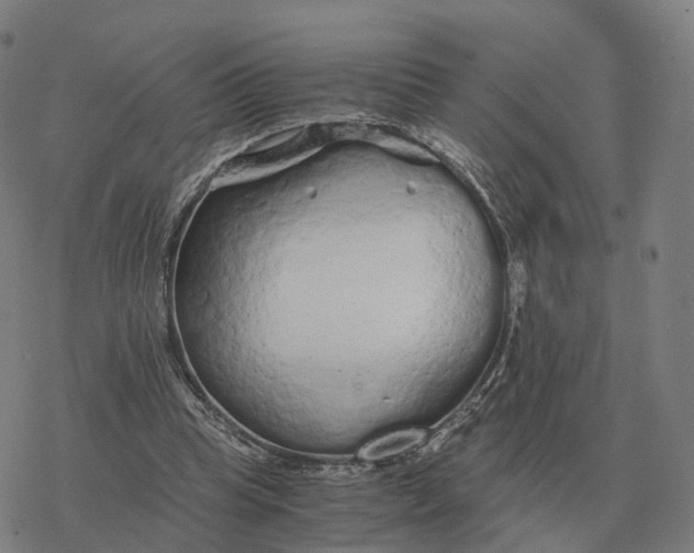 X0000076430345200610271739