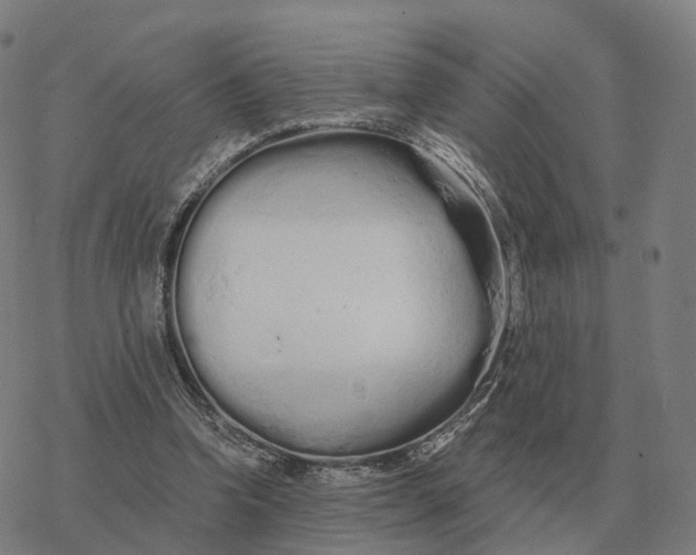 X0000076430346200610271739