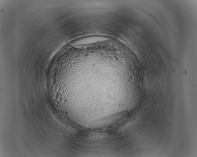 X0000076430347200610271739