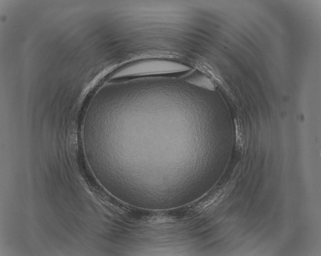 X0000076430348200610271739