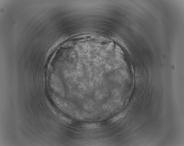 X0000076430349200610271739