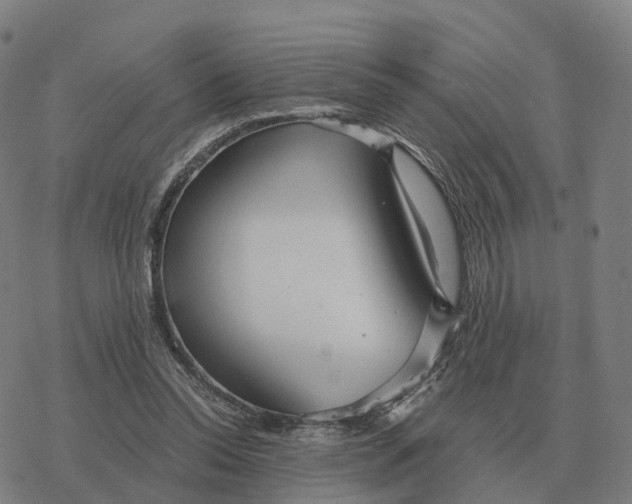 X0000076430350200610271739