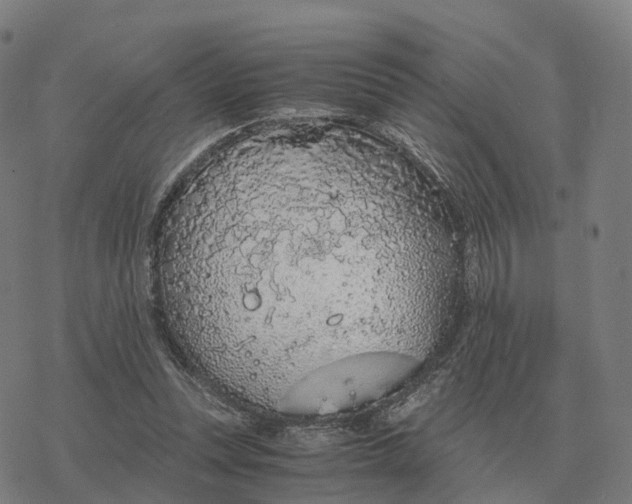 X0000076430351200610271739