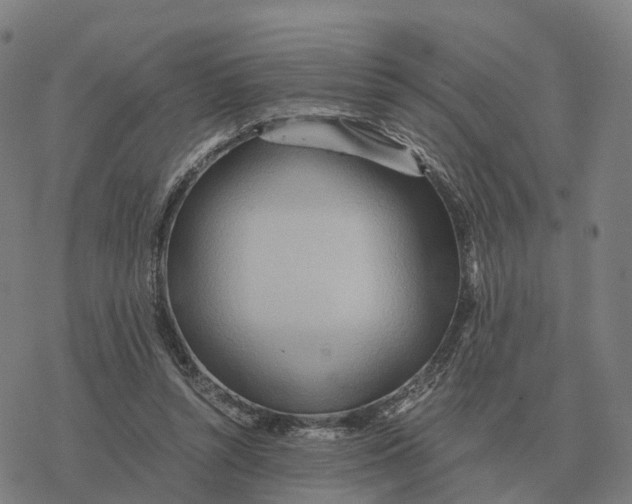 X0000076430352200610271739