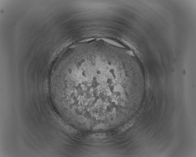 X0000076430353200610271739