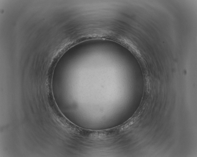 X0000076430354200610271739