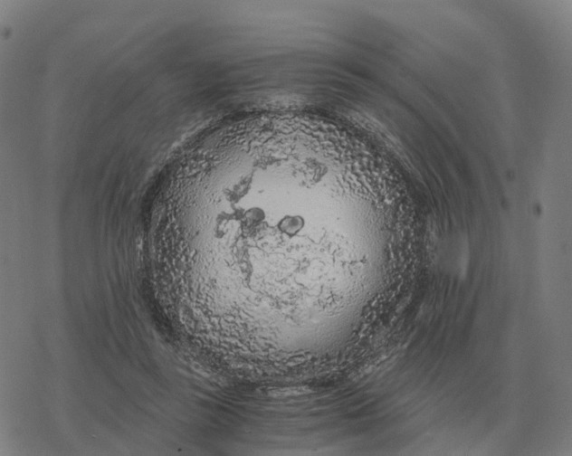 X0000076430355200610271739