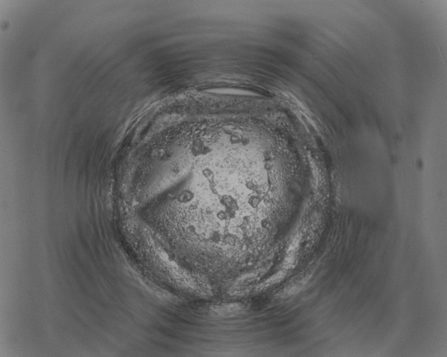 X0000076430357200610271739