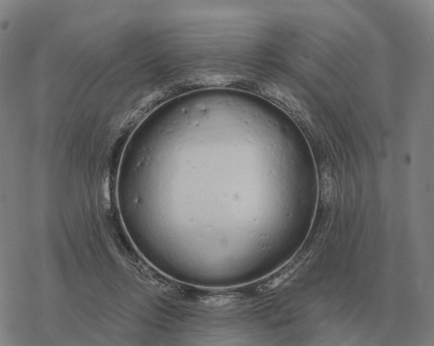 X0000076430358200610271739