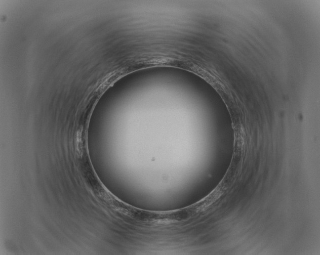 X0000076430360200610271739