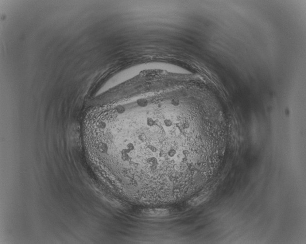 X0000076430361200610271739