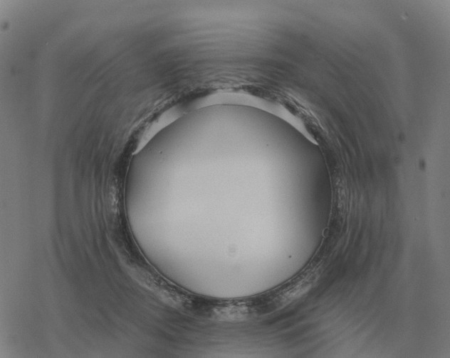 X0000076430362200610271739