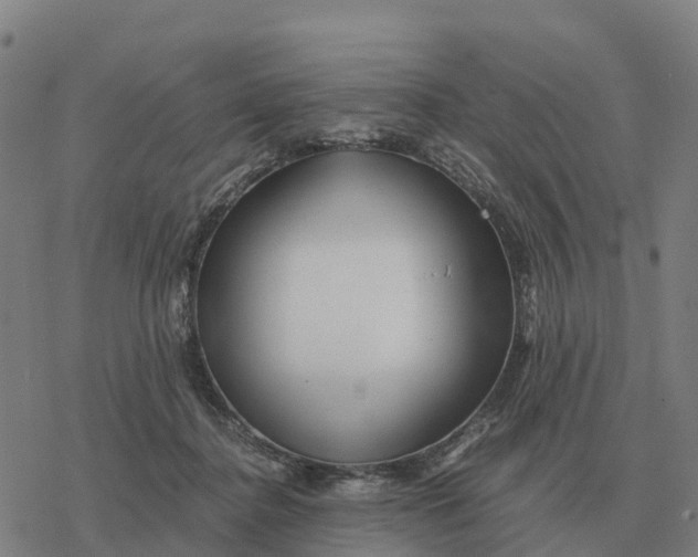 X0000076430364200610271739