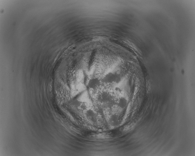 X0000076430365200610271739