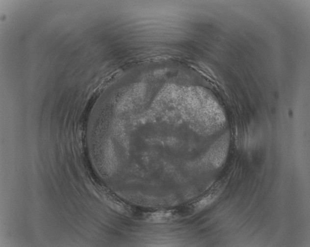 X0000076430366200610271739