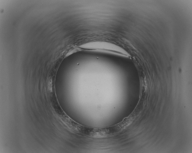 X0000076430368200610271739