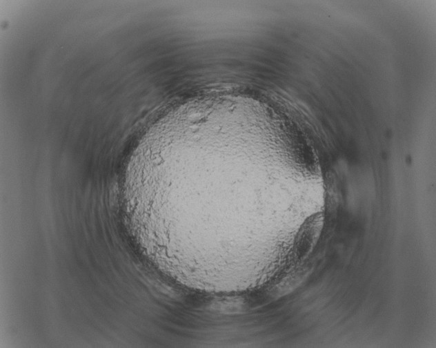 X0000076430369200610271739