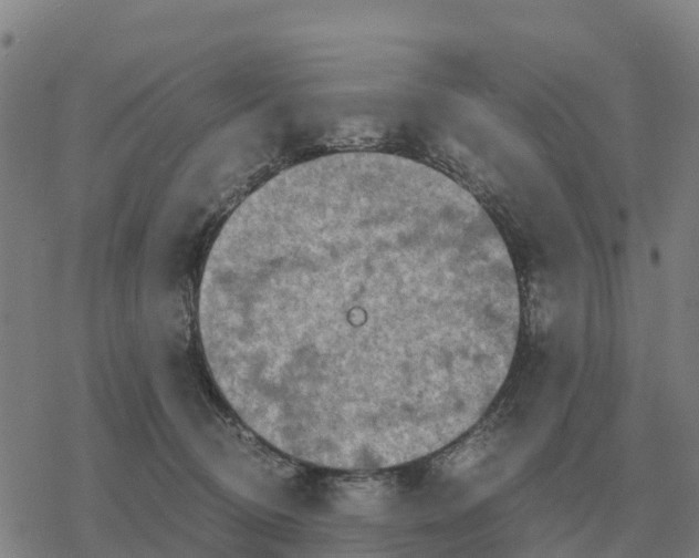 X0000076430370200610271739