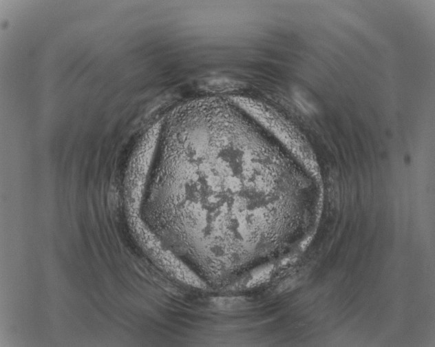 X0000076430371200610271739