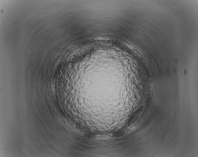 X0000076430373200610271739