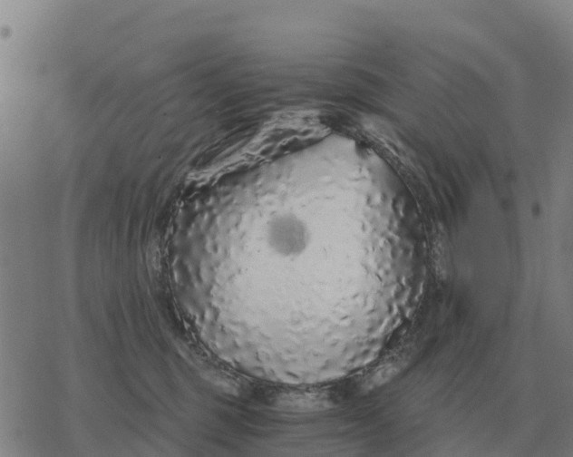 X0000076430375200610271739