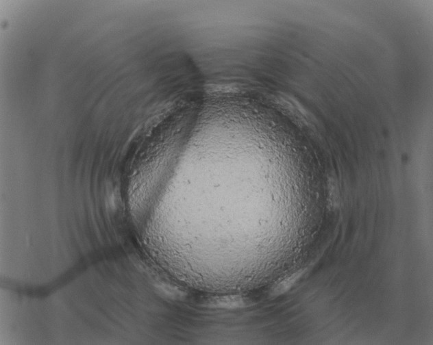 X0000076430377200610271739