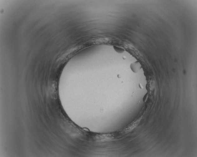 X0000076430378200610271739