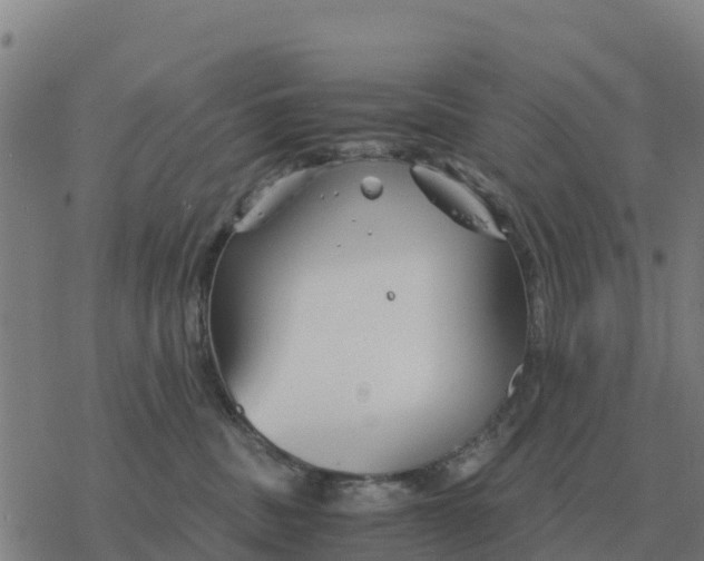 X0000076430379200610271739