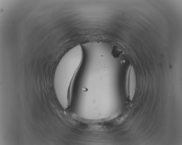 X0000076430380200610271739