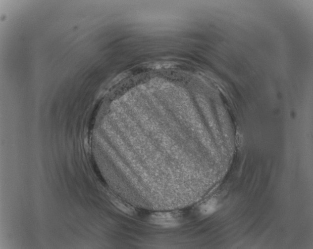 X0000076430381200610271739