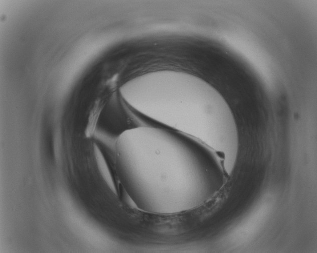 X0000076430382200610271739