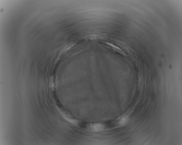 X0000076430383200610271739